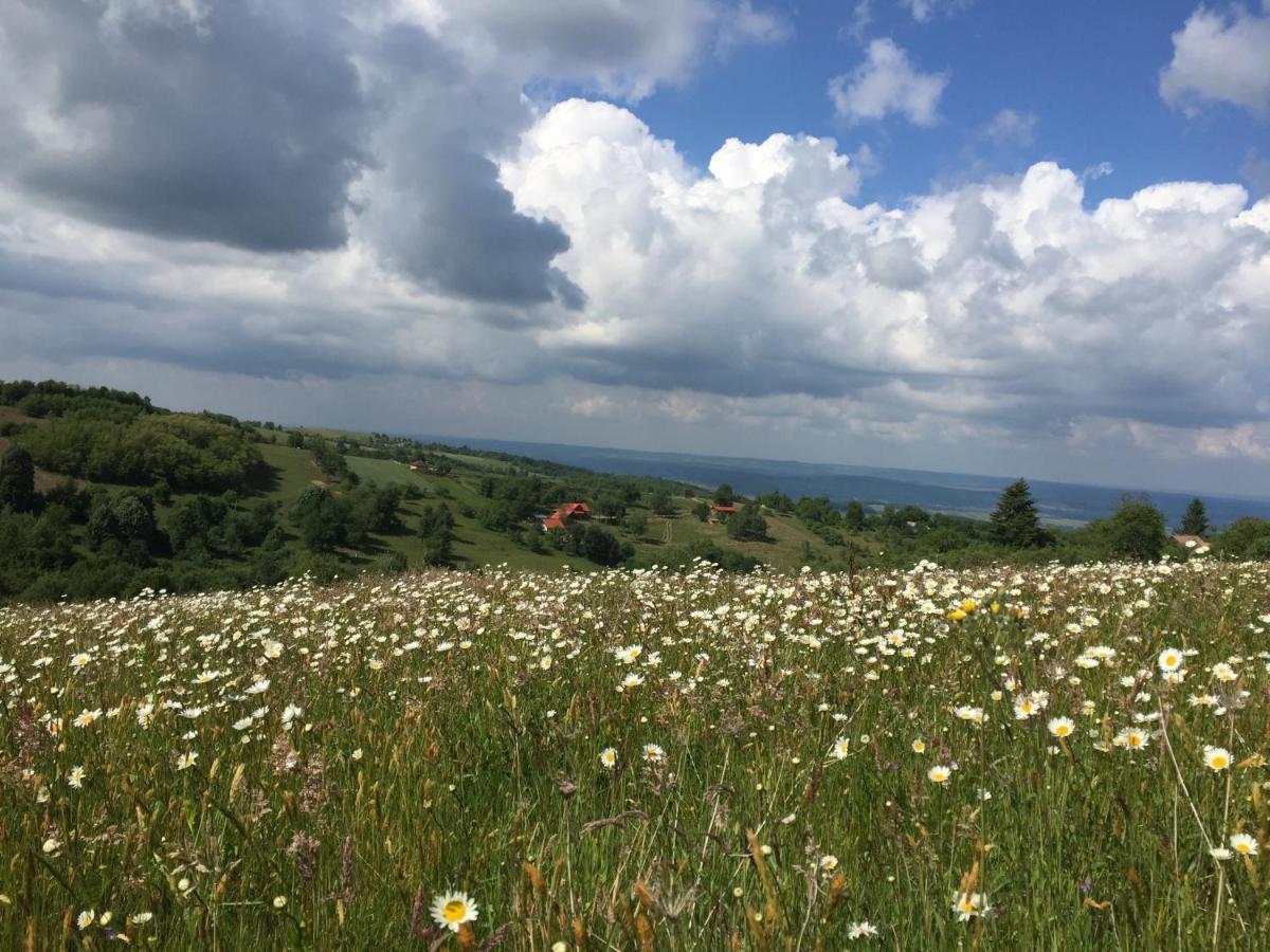Rose Hip Hill Farm Bed & Breakfast Valea Tirnei ภายนอก รูปภาพ