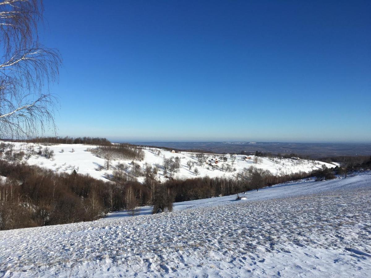 Rose Hip Hill Farm Bed & Breakfast Valea Tirnei ภายนอก รูปภาพ