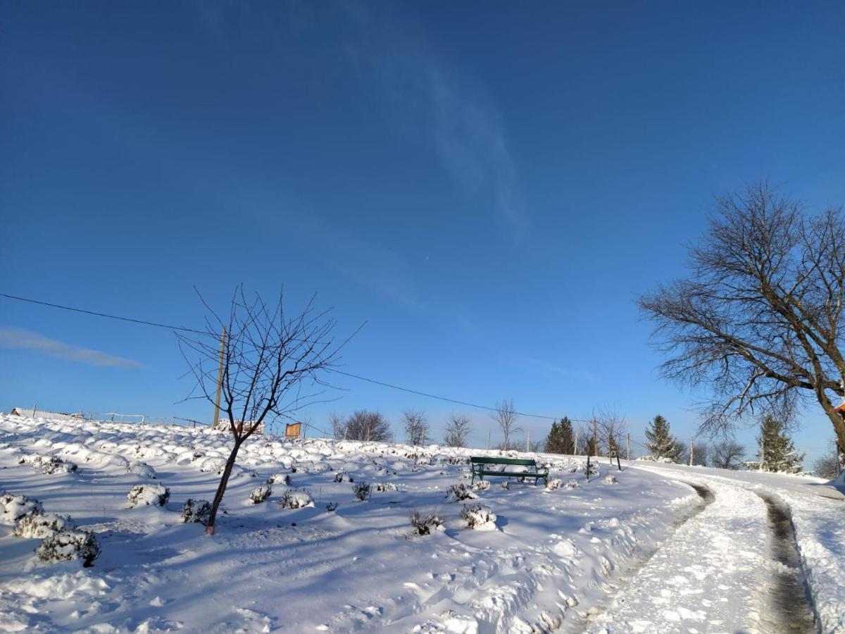 Rose Hip Hill Farm Bed & Breakfast Valea Tirnei ภายนอก รูปภาพ