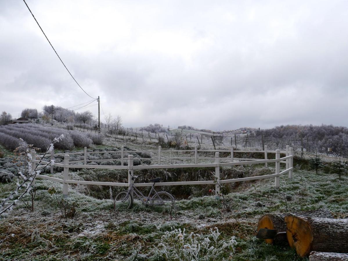 Rose Hip Hill Farm Bed & Breakfast Valea Tirnei ภายนอก รูปภาพ