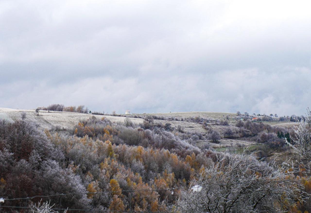 Rose Hip Hill Farm Bed & Breakfast Valea Tirnei ภายนอก รูปภาพ