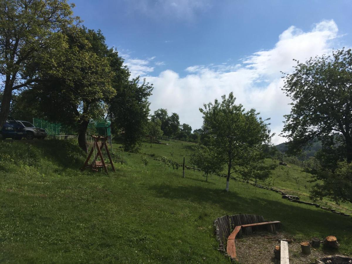 Rose Hip Hill Farm Bed & Breakfast Valea Tirnei ภายนอก รูปภาพ